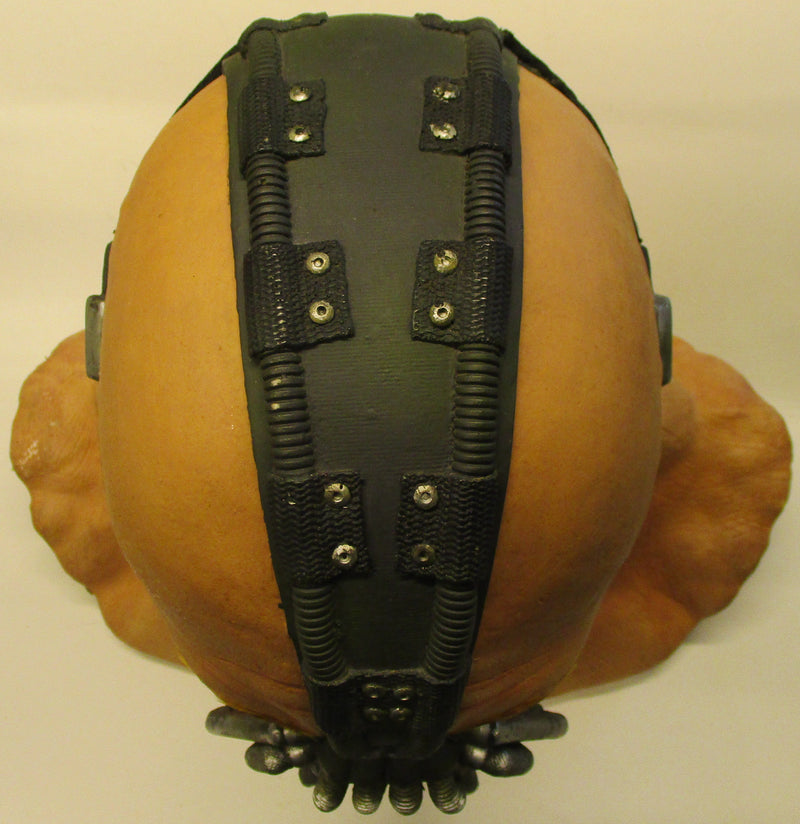 Carica immagine in Galleria Viewer, Bane 1/1 Scale Bust - Used