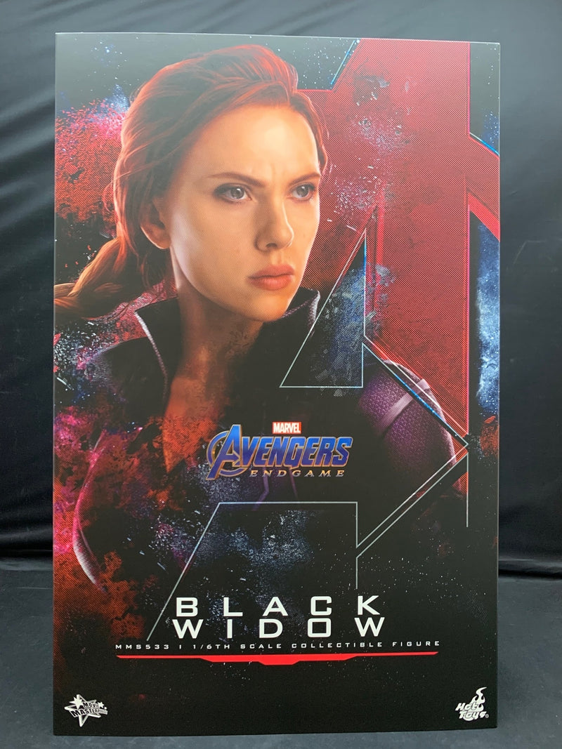 Laden Sie das Bild in Galerie -Viewer, Hot Toys Movie Masterpiece Black Widow MMS533 - Used