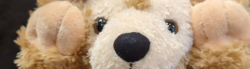 Carica immagine in Galleria Viewer, Tokyo Disney Resort Disney Bear Duffy Plush Doll (Spring 2005 Navy Sailor, SS Columbia) - Used
