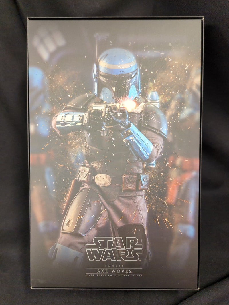 Carica immagine in Galleria Viewer, Hot Toys Television Masterpiece Axe Woves TMS070 - Used
