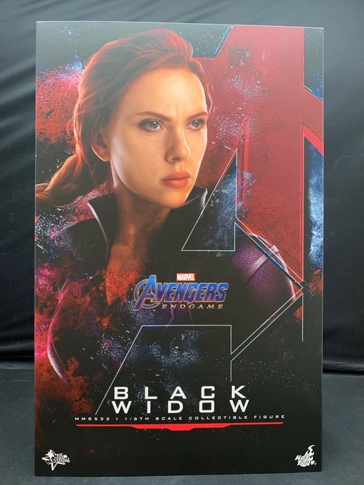 Hot Toys Movie Masterpiece Black Widow MMS533 - Used