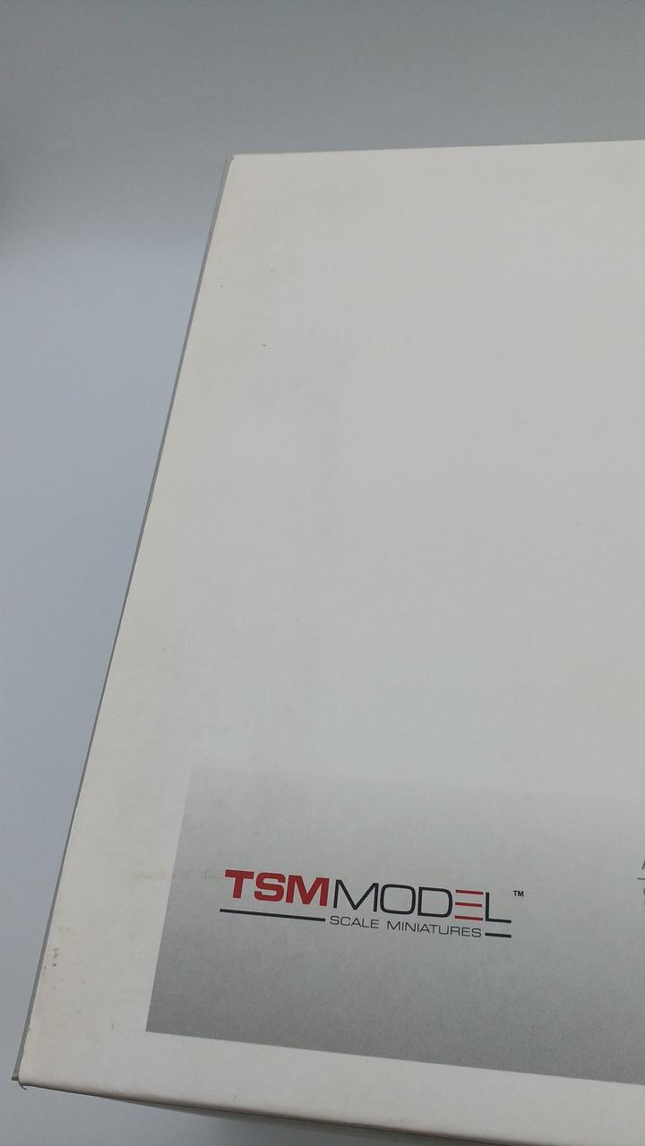 Cargue la imagen en el visor de la galería, TSM MODEL 1:18 TSM 2014 BENTLEY GT3 Scale Model Car– Used
