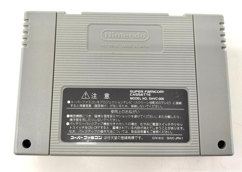 Load image into Gallery viewer, ASCII Wizardry Gaiden IV: Throb of the Demon&#39;s Heart Super Famicom (SFC) soft SHVC-AE4J-JPN Japanese Version -Used
