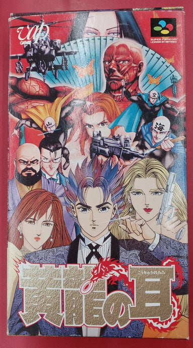 VAP Kouryuu no Mimi Super Famicom (SFC) soft SHVC-AKVJ-JPN Japanese Version -Used