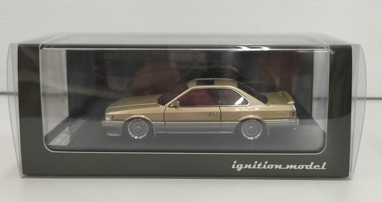 Ignition Model 